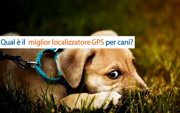 Qual è il miglior localizzatore GPS per cani?