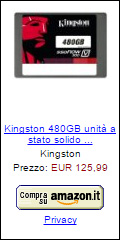 Offerta Kingston SSDNowV300 480 GB
